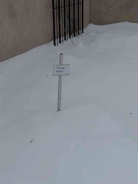 Gravnummer: 1 M     1