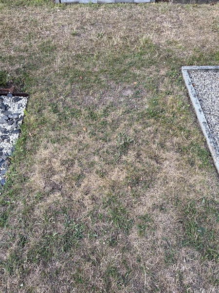 Grave number: NK XX:u   303