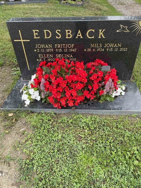 Gravnummer: N 4 3   446