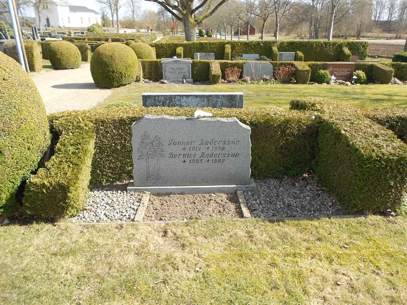 Grave number: V 37   217
