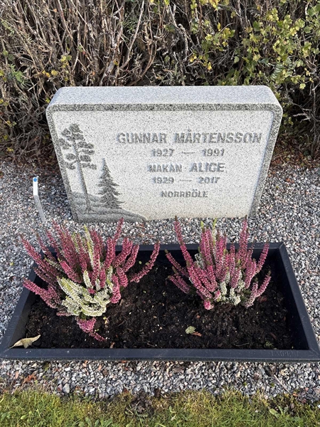 Grave number: 4 N ND   234