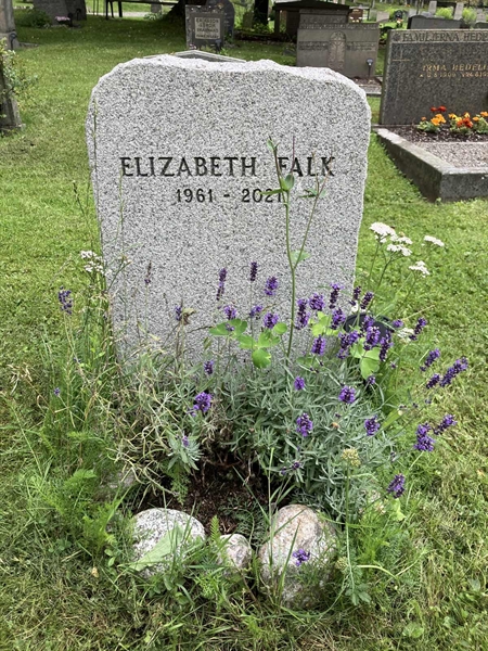 Grave number: 1 02    81
