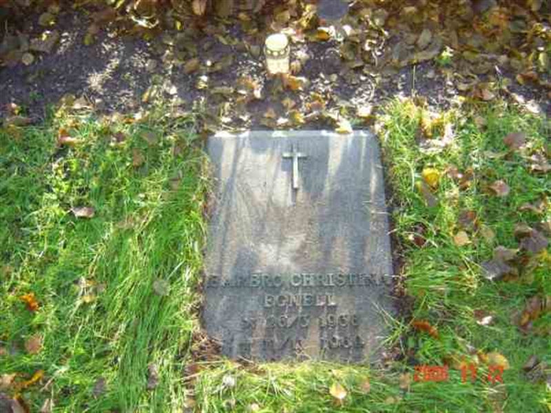Grave number: FLÄ URNL   118