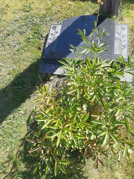 Grave number: Fr 1 612-613