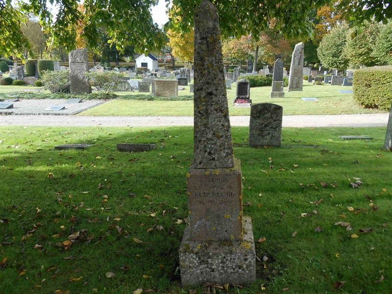 Grave number: Vitt G01    55