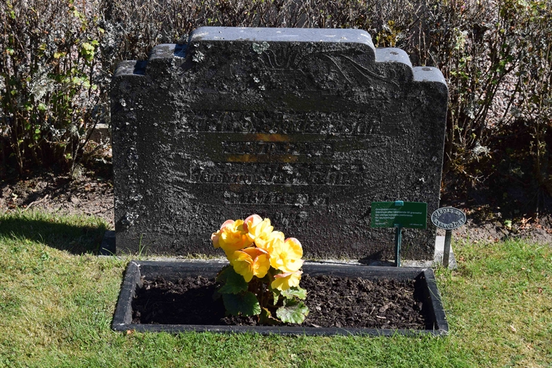 Grave number: 2 Y    23