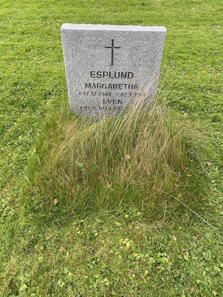 Hautatunnus: 2 C    36-37