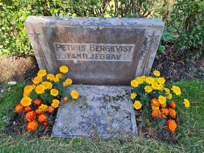 Grave number: Ö III C   20