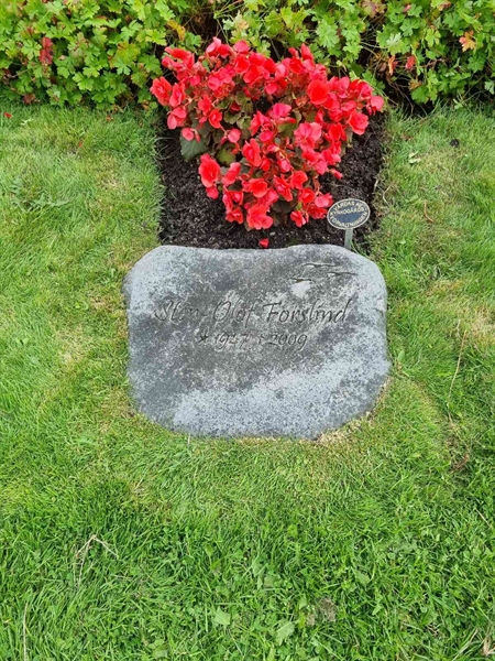 Grave number: 1 01 71