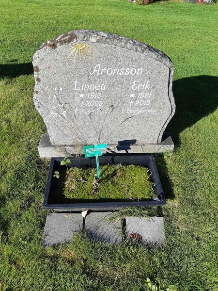 Hautatunnus: Fr 8   178-179