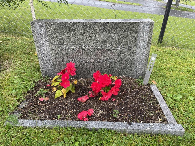 Grave number: MV IV    17