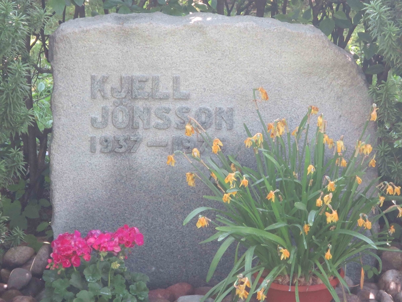 Grave number: HÖB 68   119