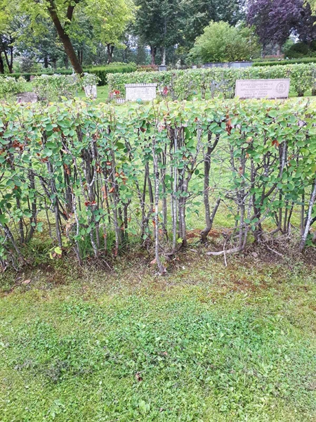 Gravnummer: NK F A   165