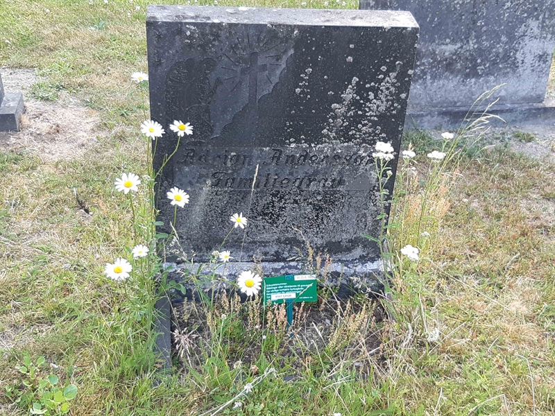 Grave number: VI Ö:A   165