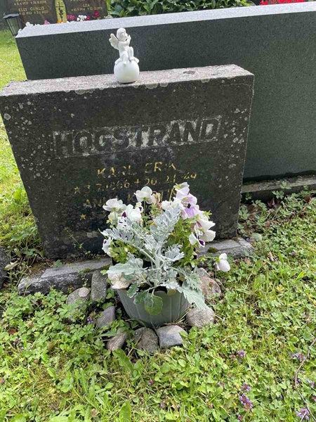 Grave number: N 4 2   250