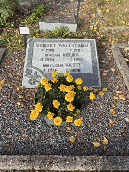 Grave number: 1 U    81