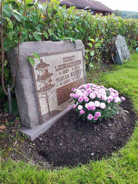 Gravnummer: NK F B   220B