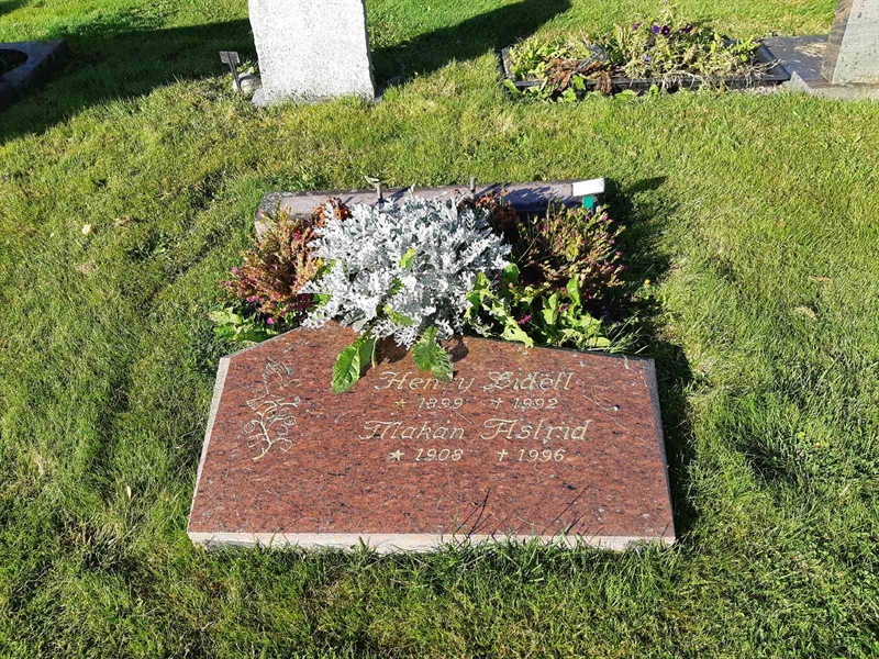 Hautatunnus: Fr 8   265-266