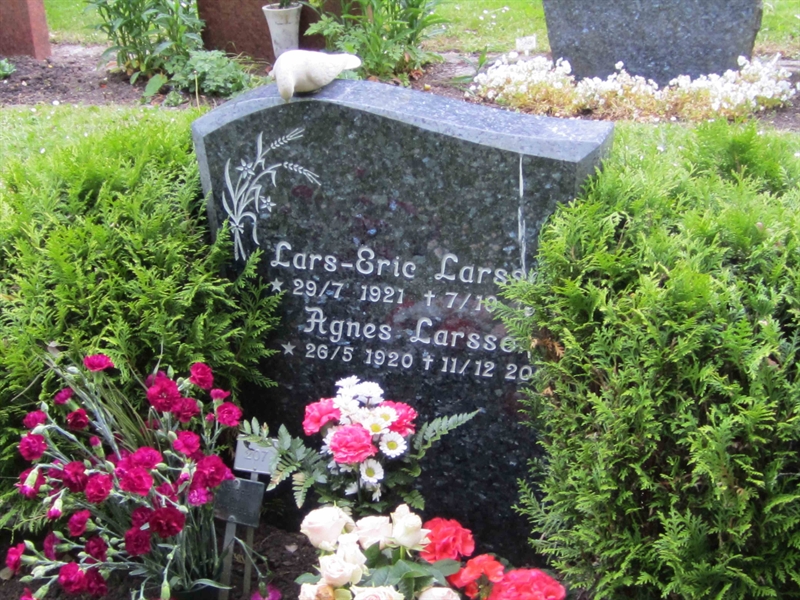 Grave number: 1 25   207