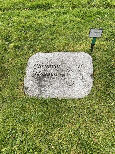 Hautatunnus: 2 C   295