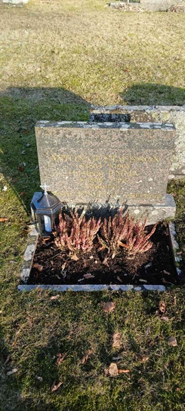 Hautatunnus: 3 Nya E   141-142