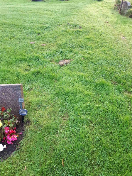 Gravnummer: NK A A   352