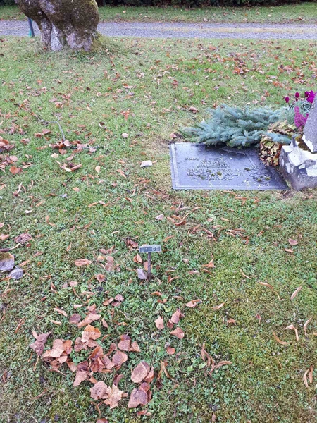 Hautatunnus: GK U 1    56