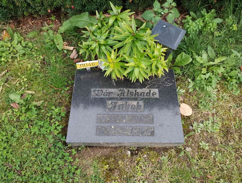 Grave number: NÅ 31    36