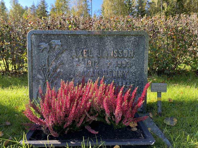 Hautatunnus: 1 22     81