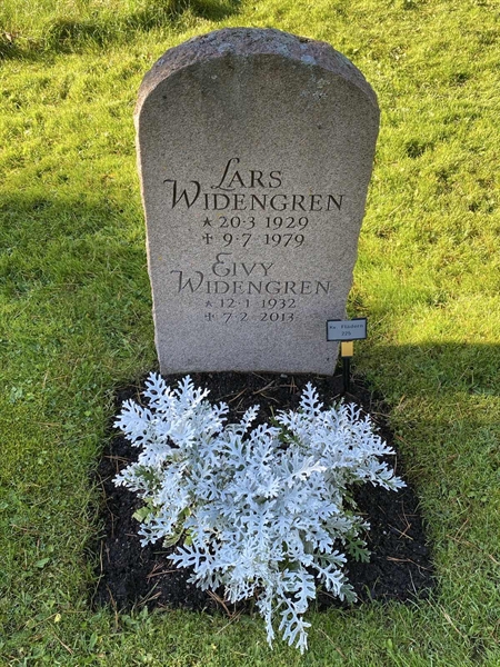 Hautatunnus: 2 F   225