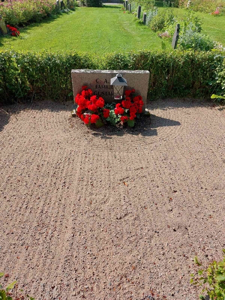 Grave number: 1 C 100