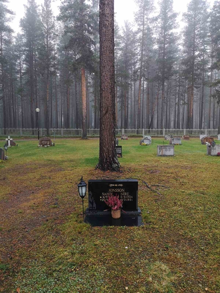 Hautatunnus: VLM 14    53-54