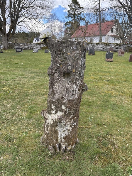 Hautatunnus: FA 156A