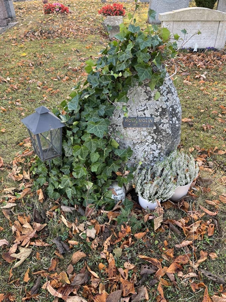 Grave number: Ö 20    41.