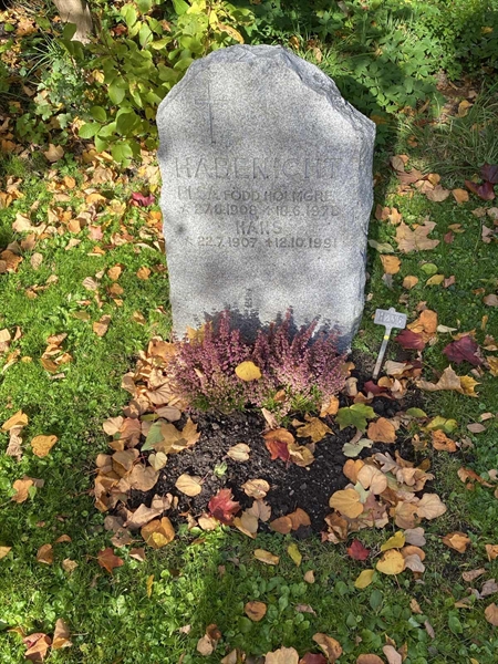 Gravnummer: 1 H   236