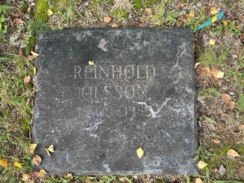 Grave number: 1 19    256