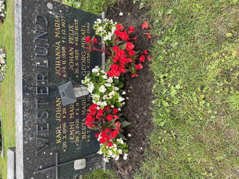 Hautatunnus: N 4 3   458