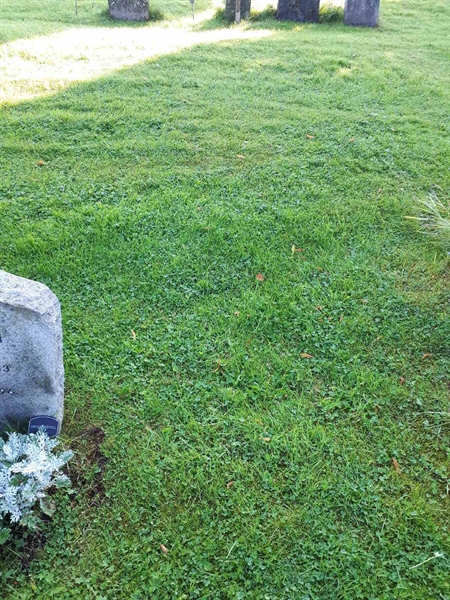 Gravnummer: NK A A   382