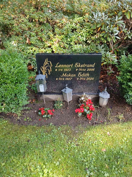 Grave number: ÖB 29    80, 81