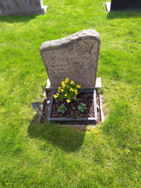 Grave number: TN 006  2235