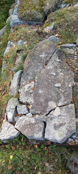 Grave number: 1 Ö 1   733