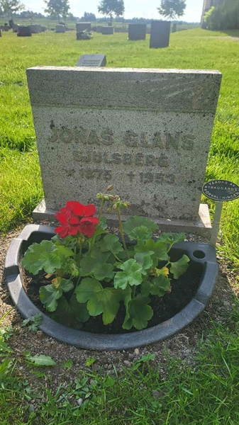 Grave number: D G 3   539a