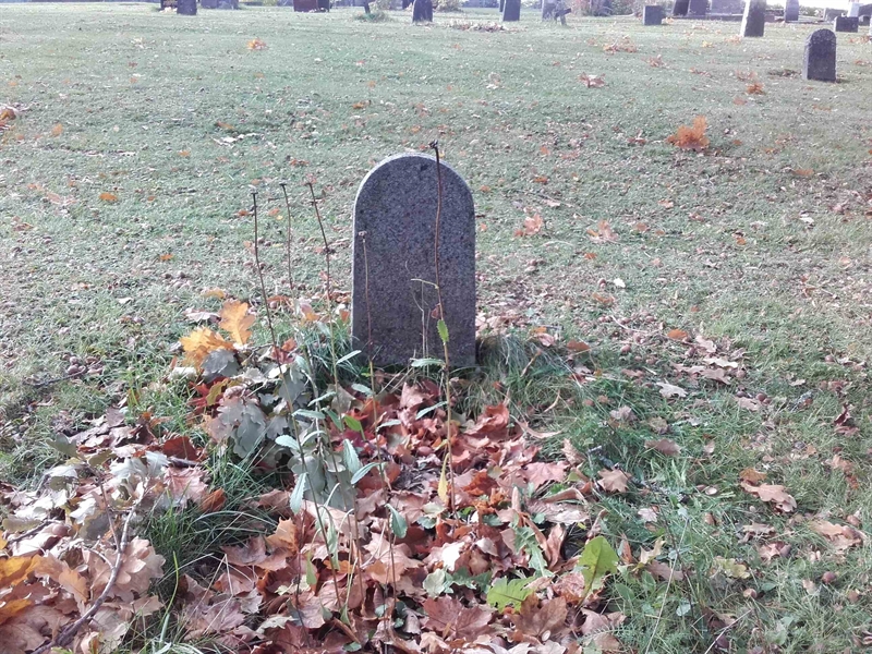 Grave number: NO 19     8