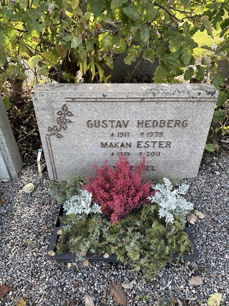 Grave number: 4 N ND    29