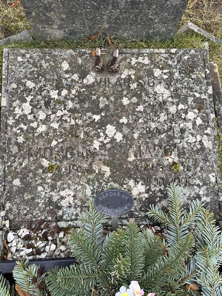 Hautatunnus: Vårv Kv3 35+36