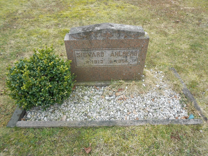 Grave number: V 5   110