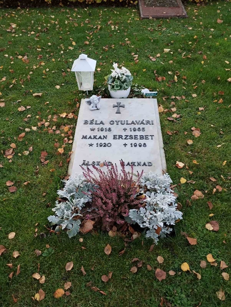 Grave number: Ö 30i    65, 66