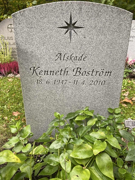 Gravnummer: 1 H    31