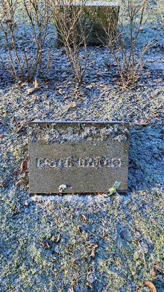 Gravnummer: 6 05    125