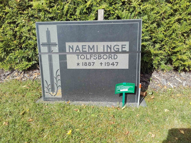 Grave number: JÄ 06   239